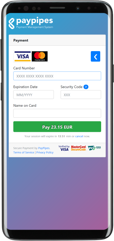 PayPipes Payment Page