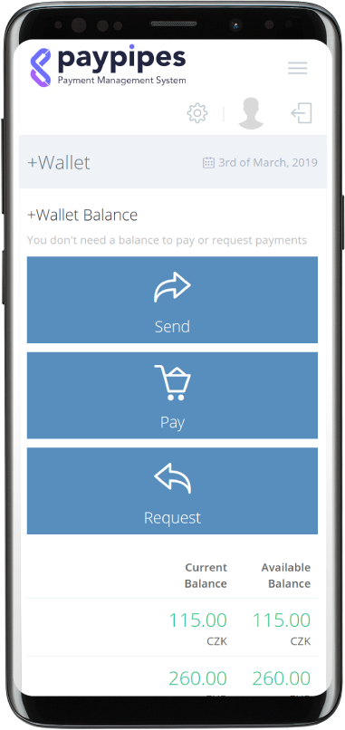 PayPipes eWallet